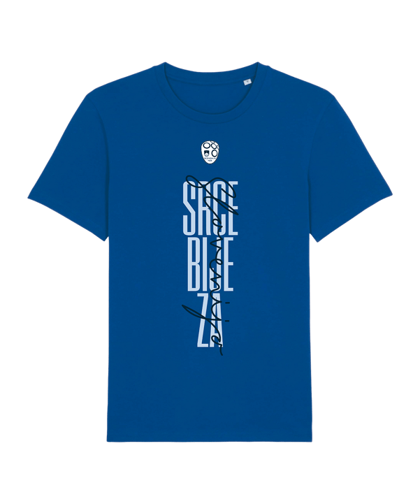 Nike NZSx11TS Slowenien SRCE BIJE T-Shirt EM 2024  Blau F463 - blau