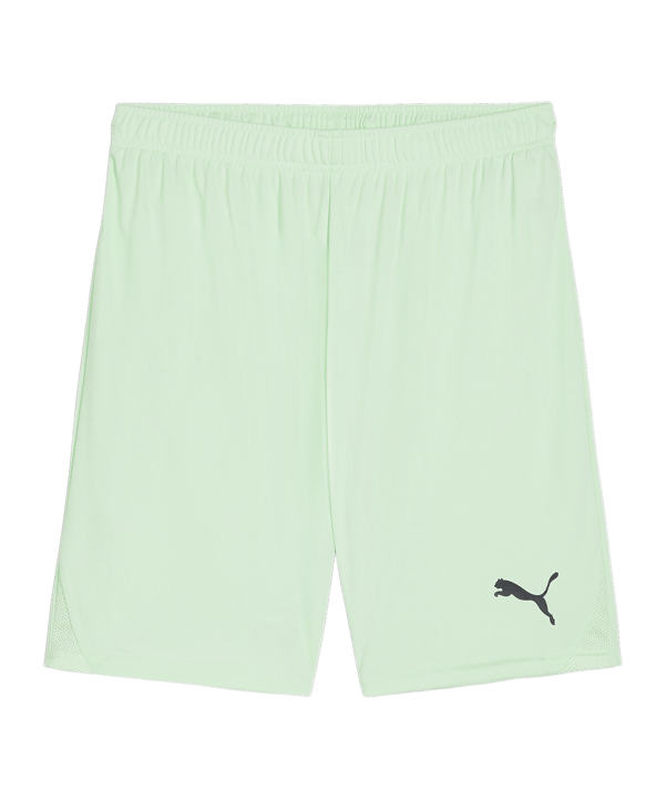 PUMA teamGOAL Short Grün Schwarz F60