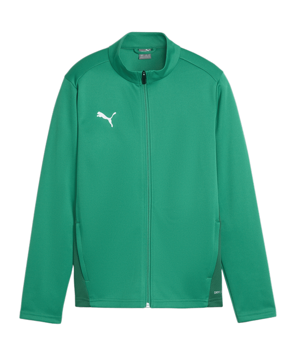PUMA teamGOAL Trainingsjacke Kids Grün F05