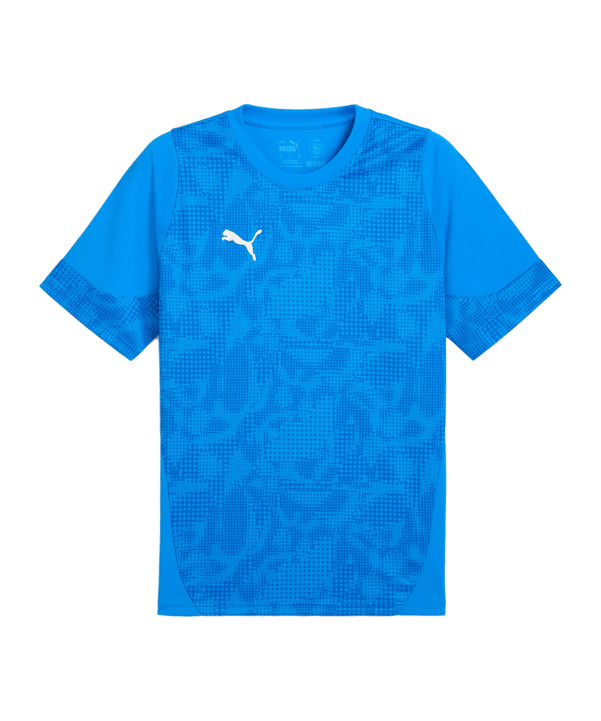 PUMA teamCUP Trikot Blau F002 