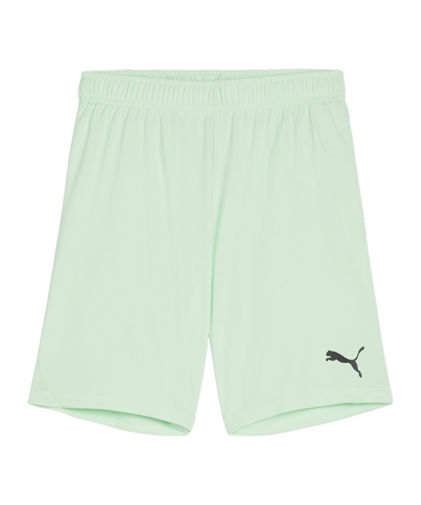 PUMA teamGOAL Short Kids Grün Schwarz F60