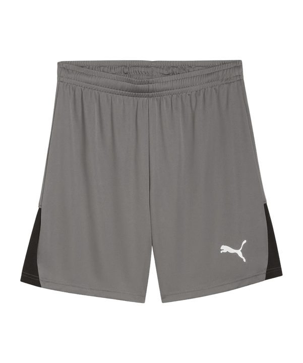 PUMA teamLIGA26 Short Grau F13 