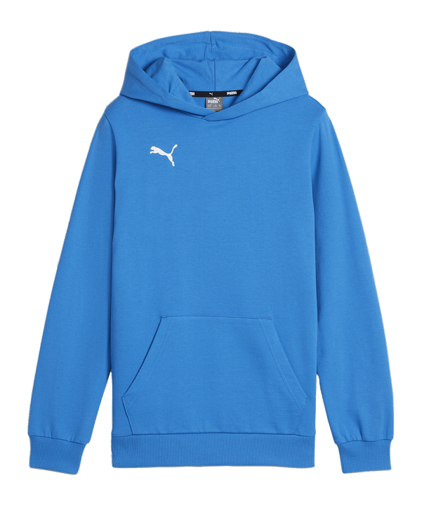 PUMA teamGOAL Casuals Hoody Kids Blau F02 