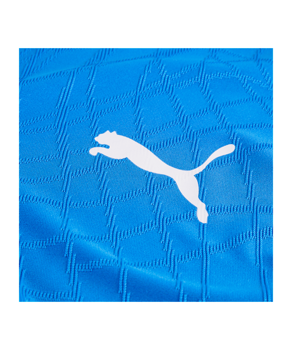 PUMA teamFINAL26 Knit Trikot Blau F02 - blau