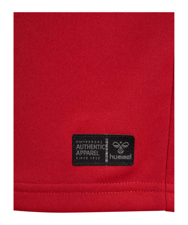 hummel DBU Dänemark Trikot Home 2026 Kids Rot F3365 - rot