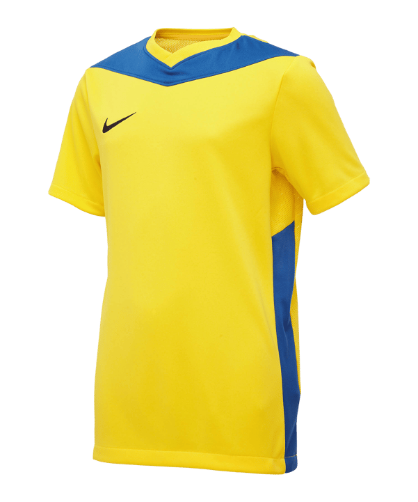 Nike Park Derby IV Trikot Kids Gelb Blau F720 