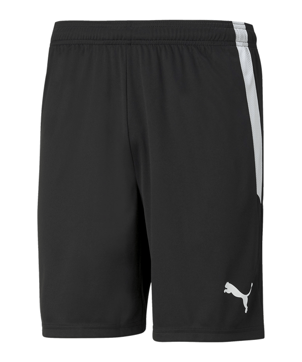 PUMA teamLIGA Short Schwarz Weiss F03 - schwarz