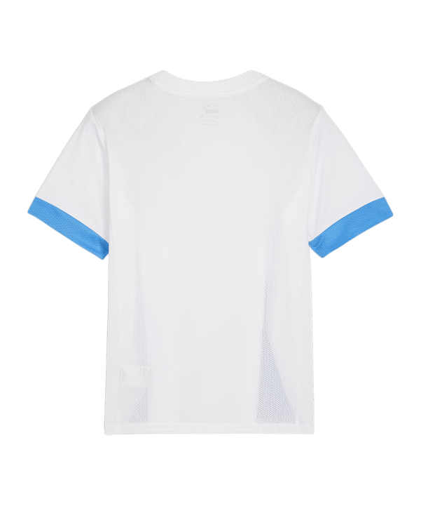 PUMA teamGOAL Matchday Trikot Kids Weiss Blau F12 - weiss
