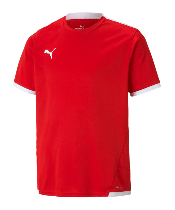 PUMA teamLIGA Trikot Kids Rot F01