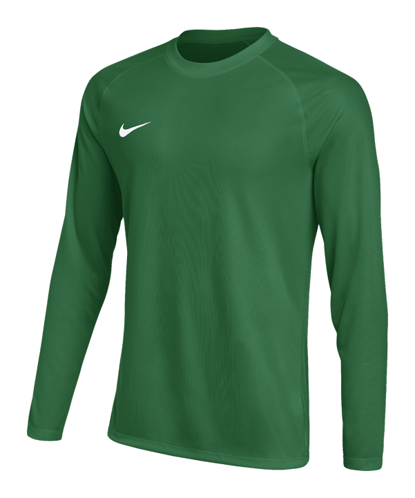 Nike Park VIII Trikot langarm Grün F302 