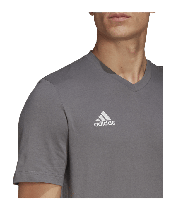 adidas Entrada 22 T-Shirt Grau - grau