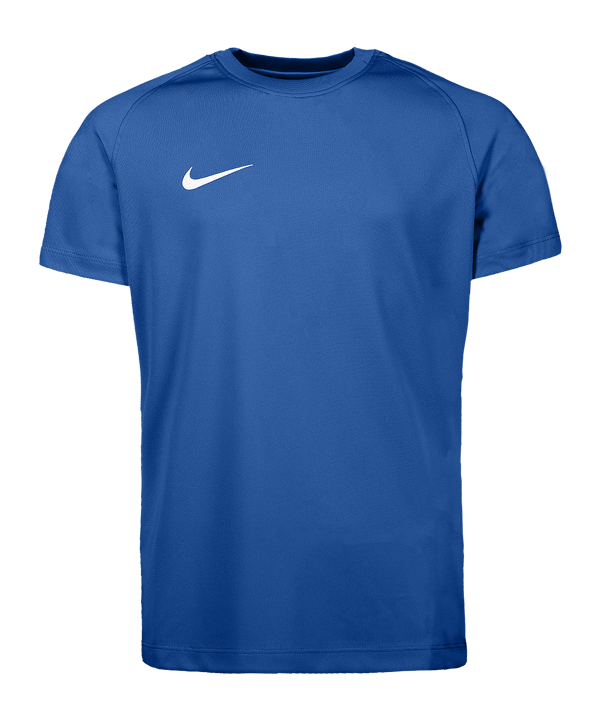 Nike Park VIII Trikot Kids Blau F463 