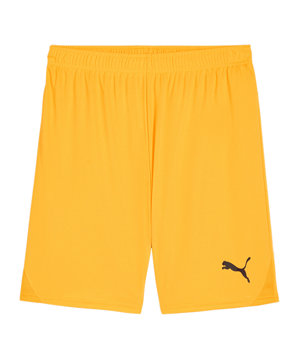 PUMA teamGOAL Short Orange Schwarz F61