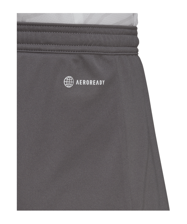 adidas Entrada 22 Short | Grau - grau