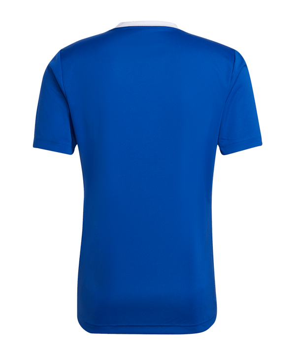 adidas Entrada 22 Trikot | Blau Weiss - blau