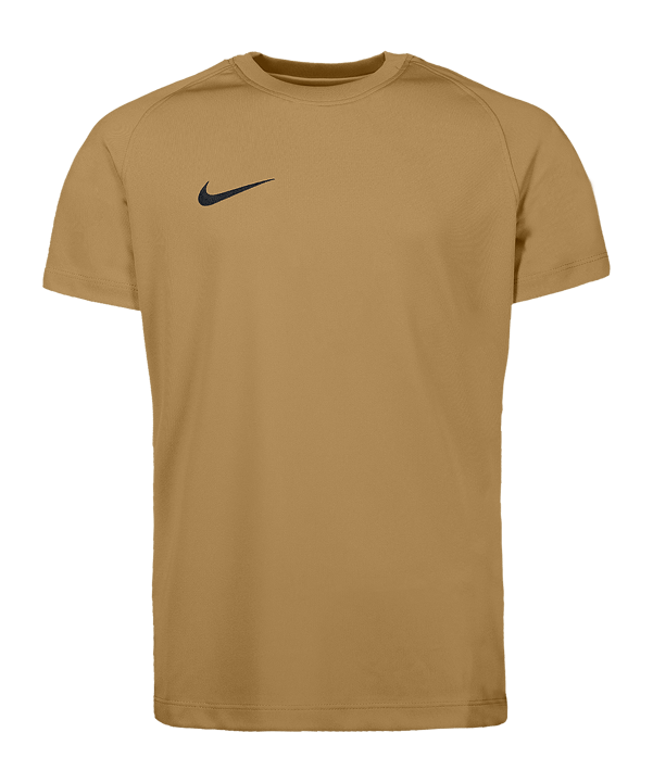 Nike Park VIII Trikot Kids Gold F729 