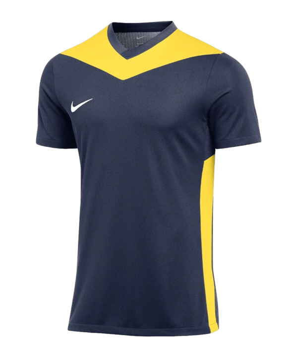 Nike Park Derby IV Trikot Blau Gelb F410