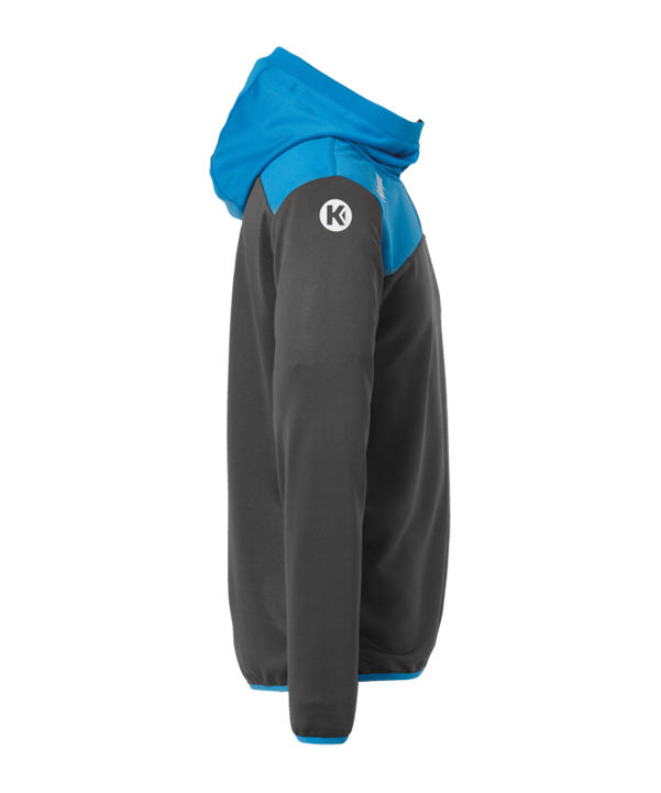 Kempa Emotion 2.0 Quarter Sweatshirt Grau F16 - grau