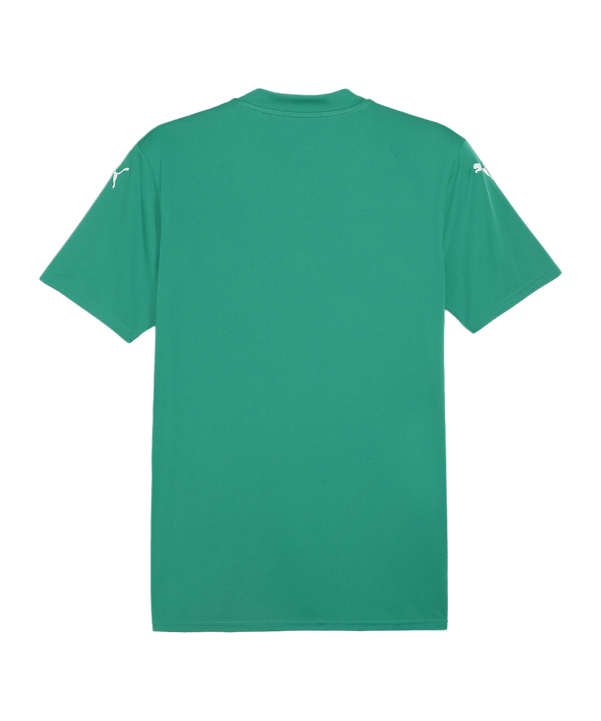 PUMA teamGLORY Trikot Grün Weiss Grün F05 - gruen