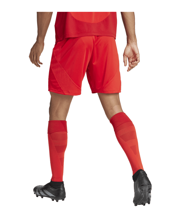 adidas FC Bayern München Short Home 2024/2025 Rot - rot