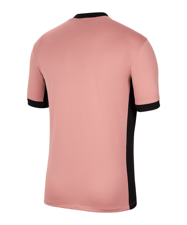Jordan Paris St. Germain Trikot UCL 2024/2025 Pink F686 - rosa