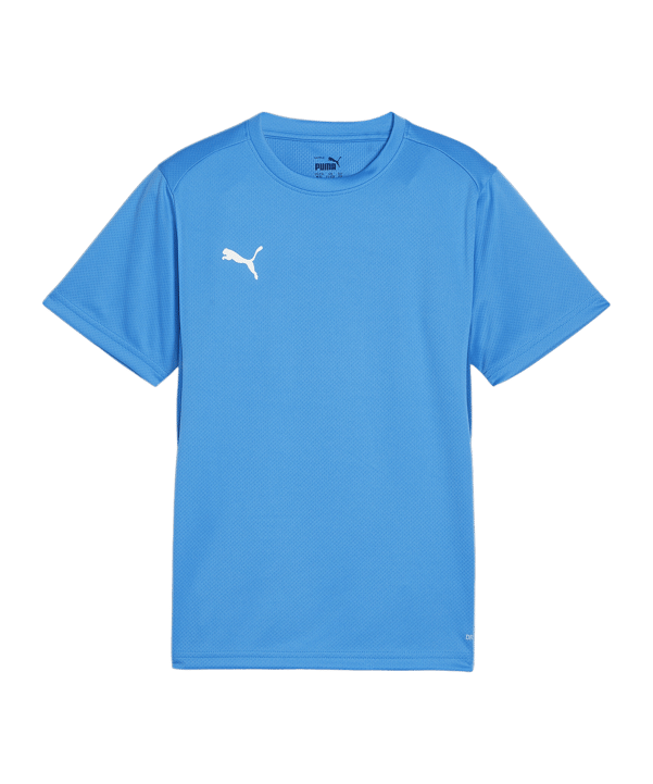 PUMA teamGOAL Trikot Kids Blau F02