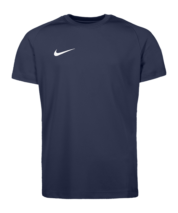 Nike Park VIII Trikot Kids Blau F410 