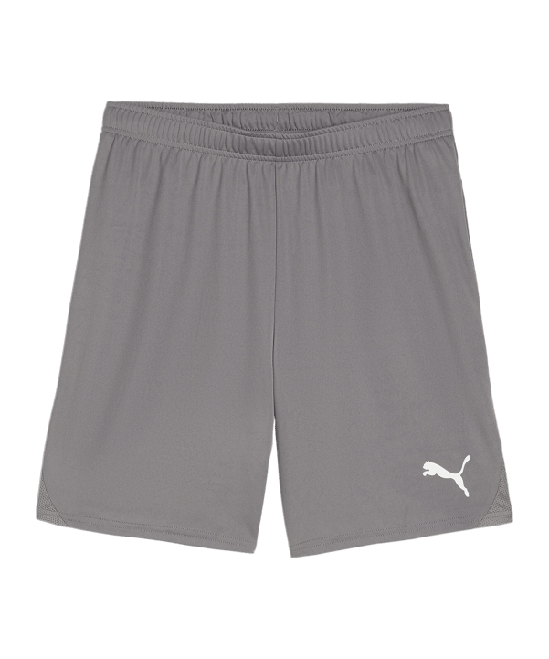 PUMA teamGOAL Short Grau Weiss F13