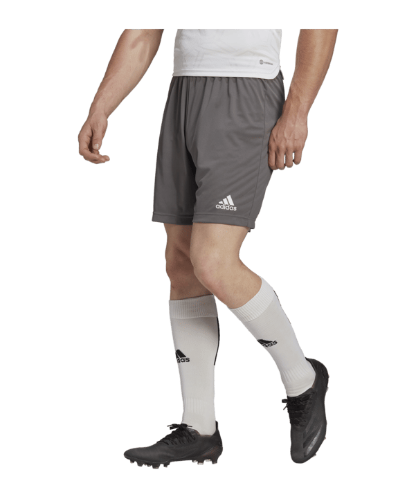 adidas Entrada 22 Short | Grau - grau