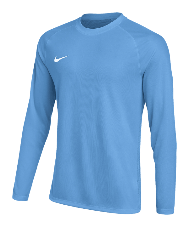Nike Park VIII Trikot langarm Kids Blau F412 