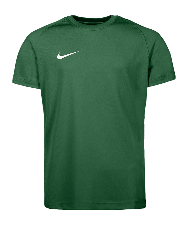 Nike Park VIII Trikot Kids Grün F302 
