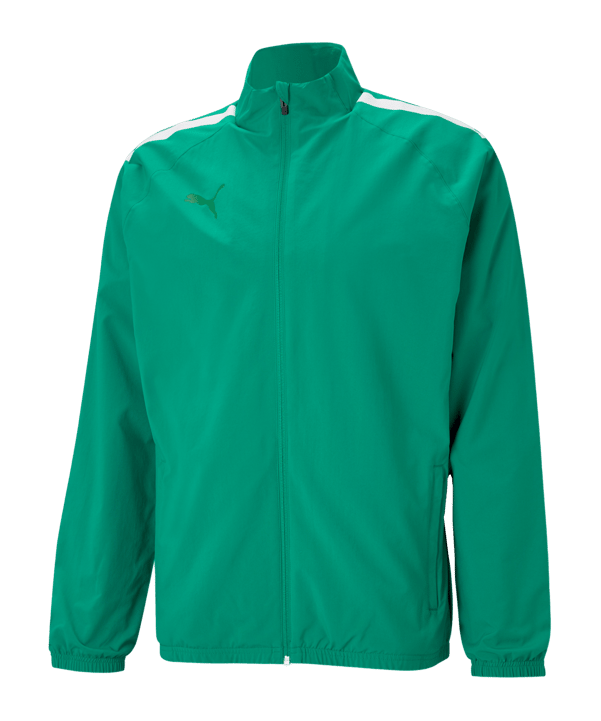 PUMA teamLIGA Sideline Jacke Grün Weiss F05