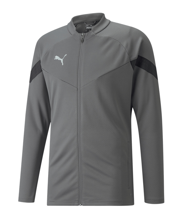 PUMA teamFINAL Training Jacke Grau F13