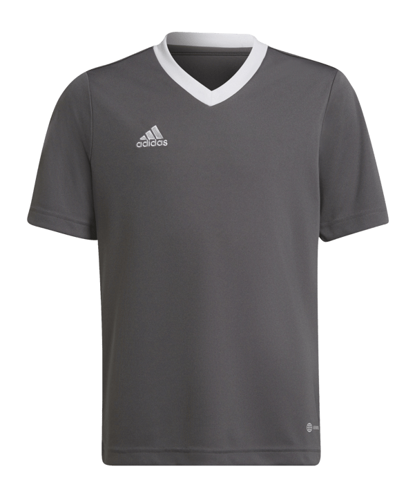 adidas Entrada 22 Trikot Kids Grau Weiss
