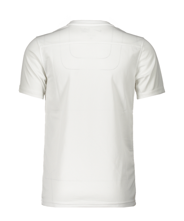 Nike Park VII Trikot Kids Weiss Blau F102 - weiss