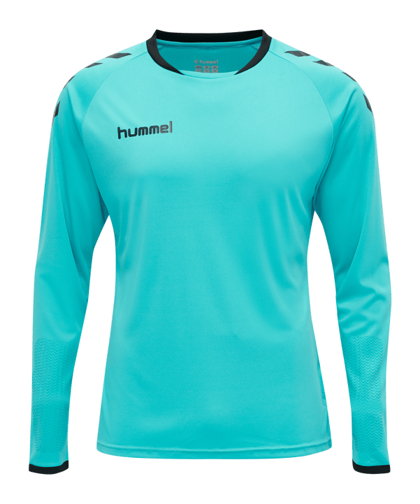Hummel Core GK Torwarttrikotset Kids Blau F7905 - blau