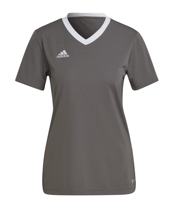 adidas Entrada 22 Trikot Damen Grau Weiss