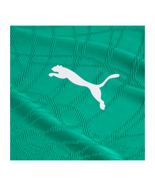 PUMA teamFINAL26 Knit Trikot Grün F05 - gruen
