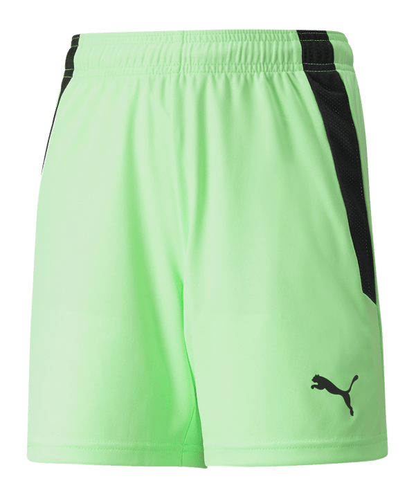 PUMA teamLIGA Short Kids Grün Schwarz F20