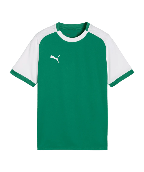 PUMA teamLIGA26 Matchday Trikot Kids Grün F05 