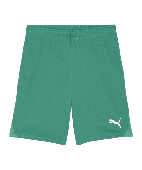PUMA teamGOAL Short Grün Weiss F05