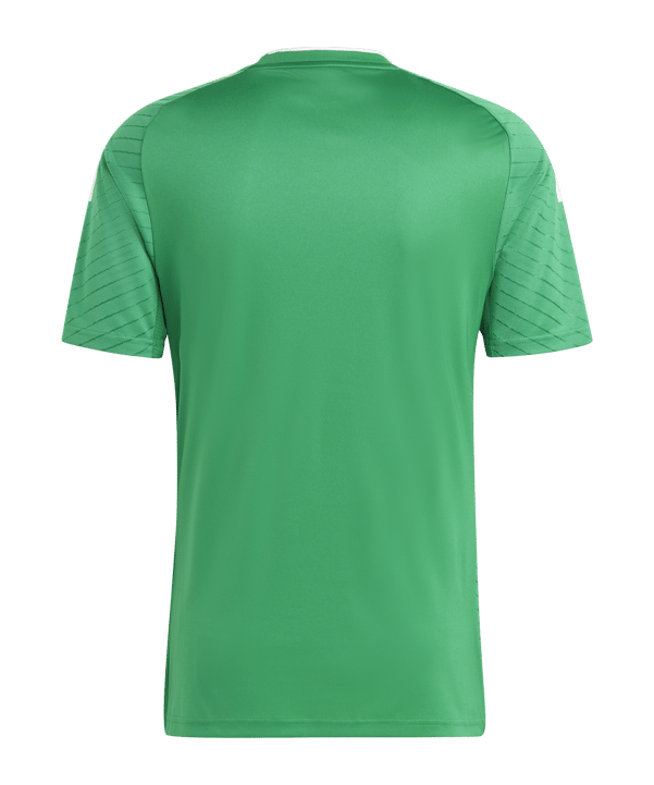 adidas Campeon 23 Trikot Grün - gruen