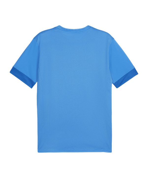 PUMA teamGOAL Matchday Trikot Blau Weiss F02 - blau