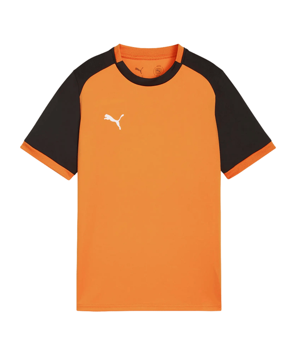 PUMA teamLIGA26 Matchday Trikot Kids Orange F08 