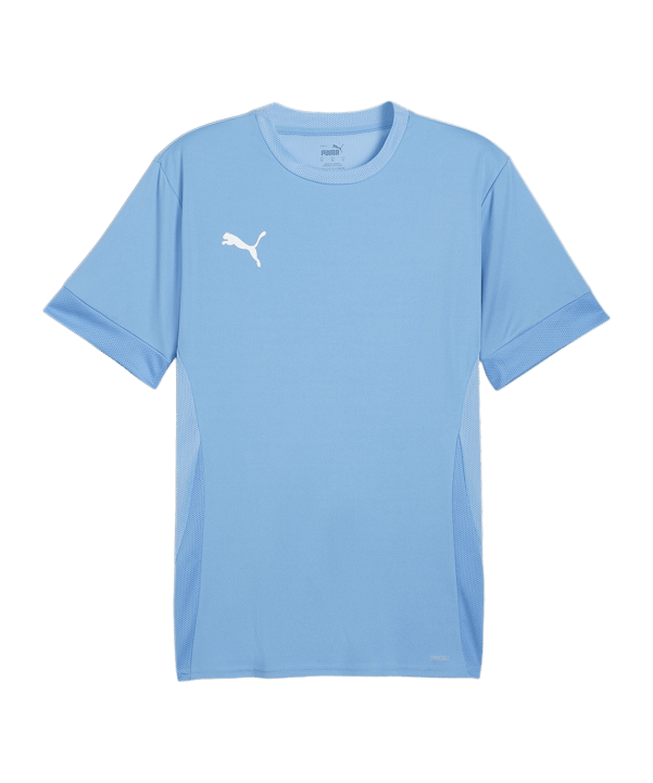 PUMA teamGOAL Matchday Trikot Blau Weiss F18