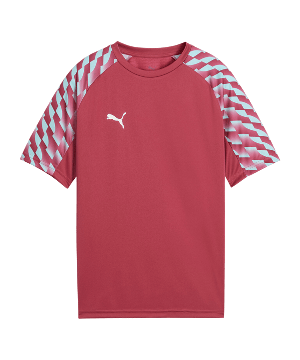PUMA teamLIGA26 Trikot Kids Rot F81 