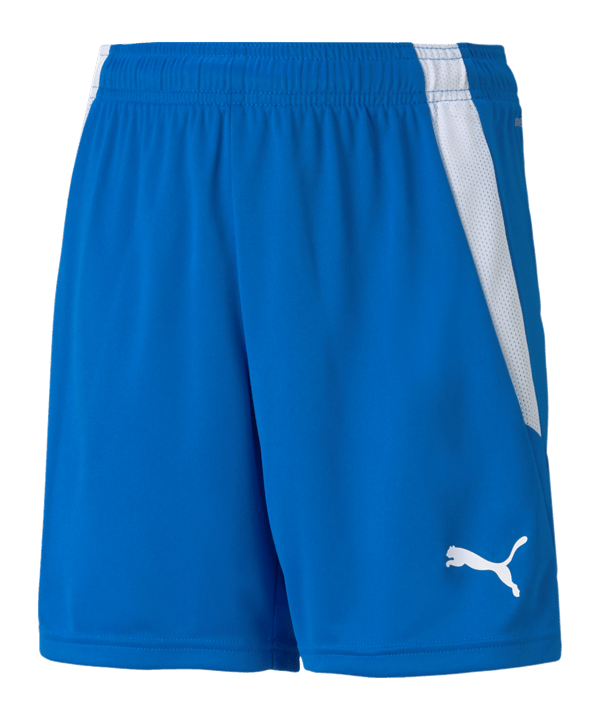 PUMA teamLIGA Shorts Kids Blau F02