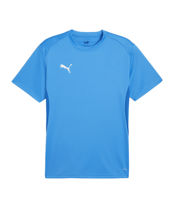 PUMA teamGOAL Trikot Blau F02