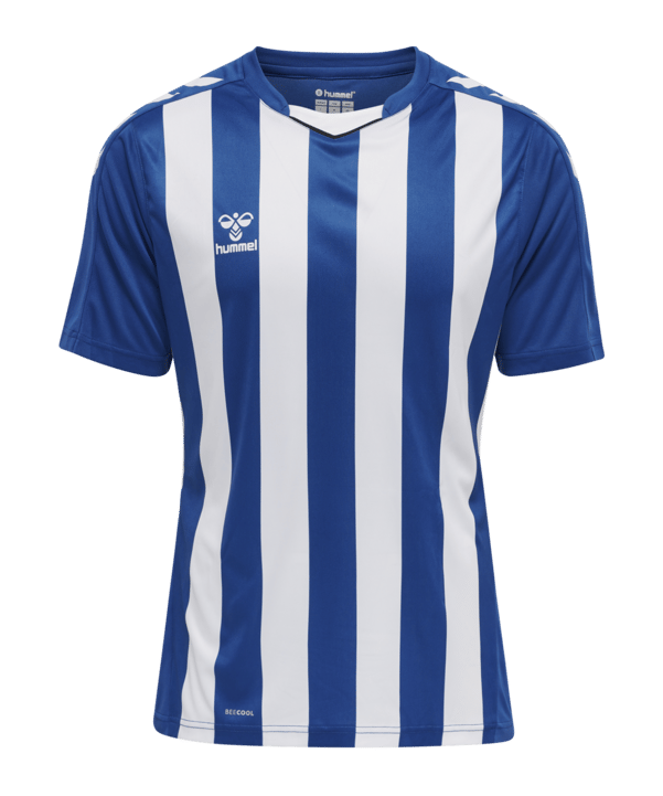 Hummel hmlCORE XK Striped Trikot Blau Weiss F7691