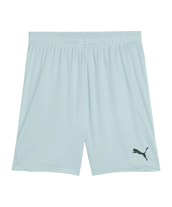 PUMA TeamGOAL Short Grün F41 